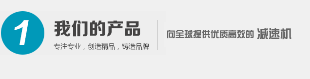 星空体育官网赞助里尔